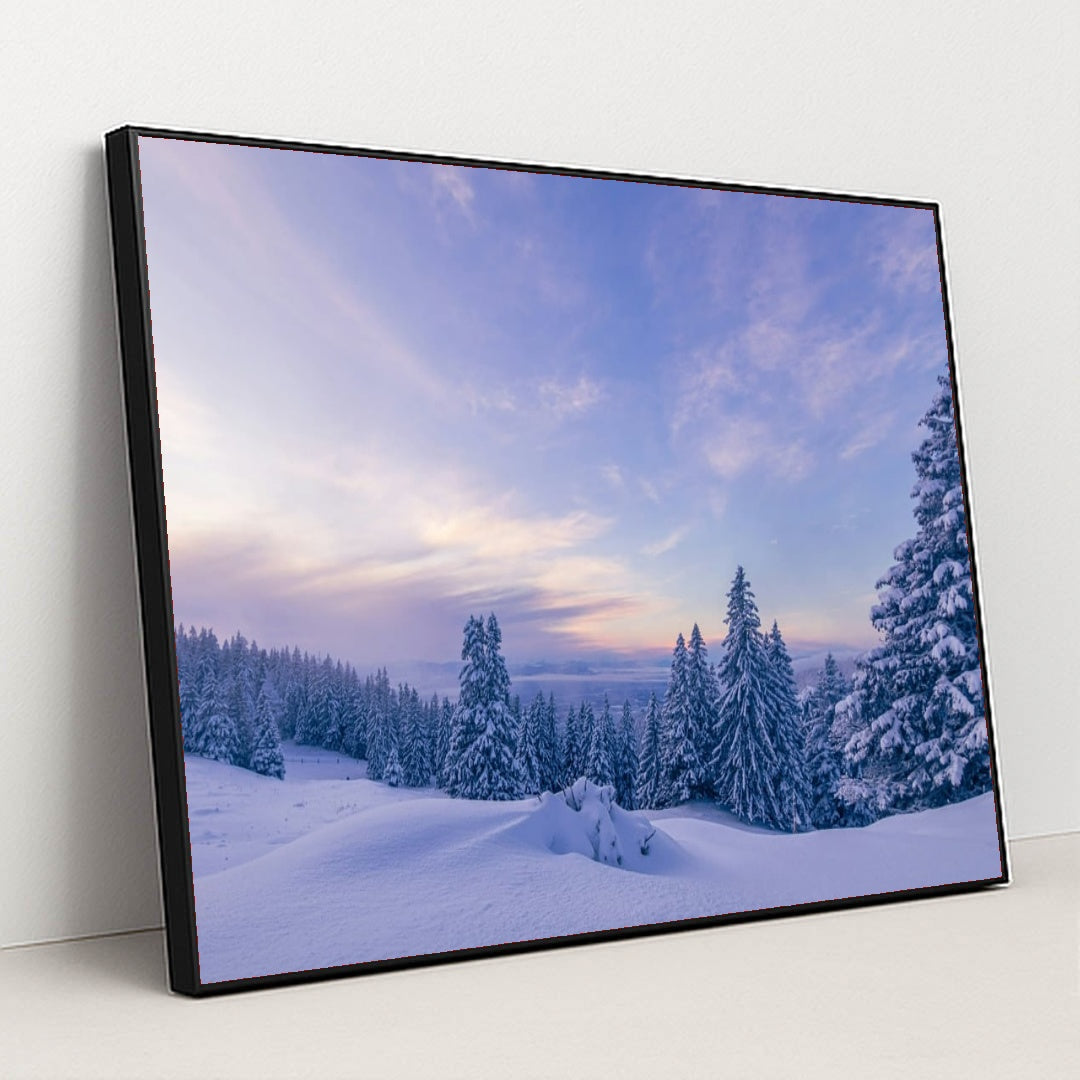 6366 - Product Image