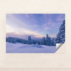 6366 - Product Image