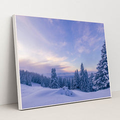 6366 - Product Image