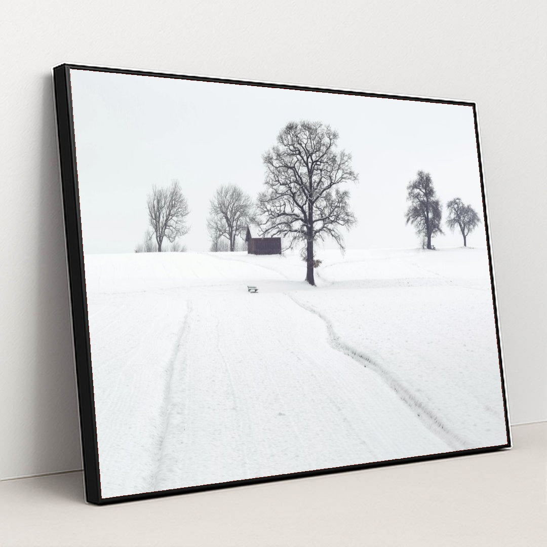 7090333122595 - Product Image