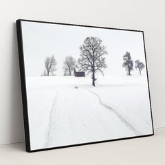 7090333122595 - Product Image