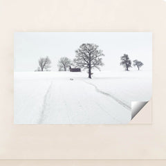 7090333122595 - Product Image