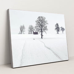 7090333122595 - Product Image