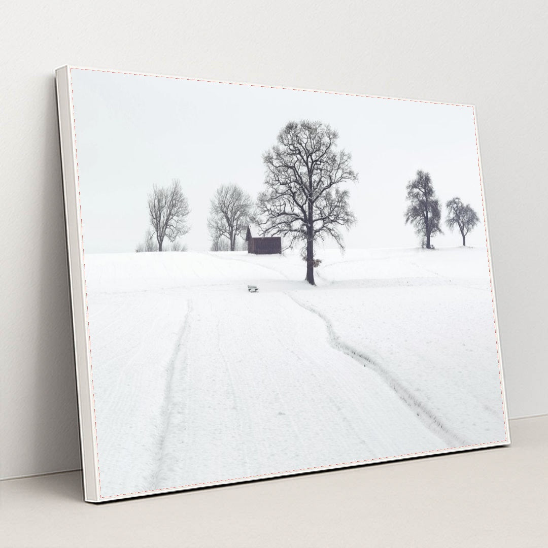 7090333122595 - Product Image