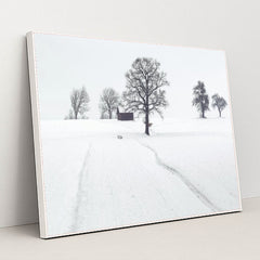 7090333122595 - Product Image