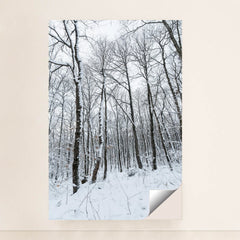 7090352816163 - Product Image