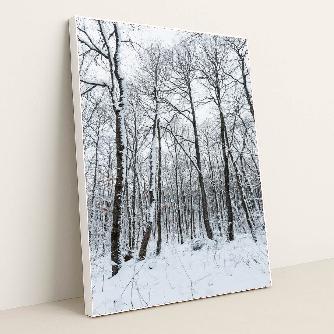 7090352816163 - Product Image