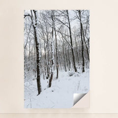 7090332172323 - Product Image