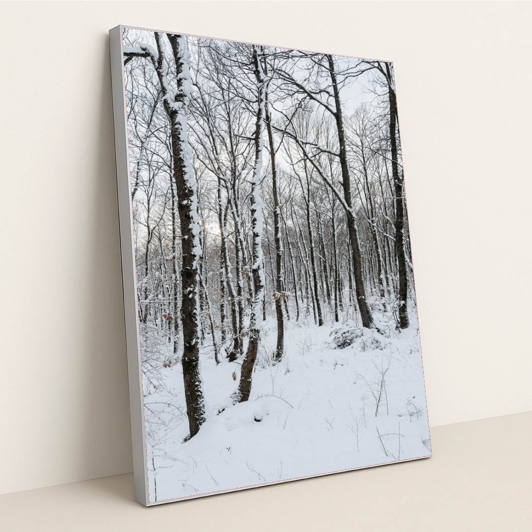 7090332172323 - Product Image