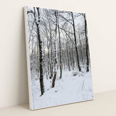 7090332172323 - Product Image