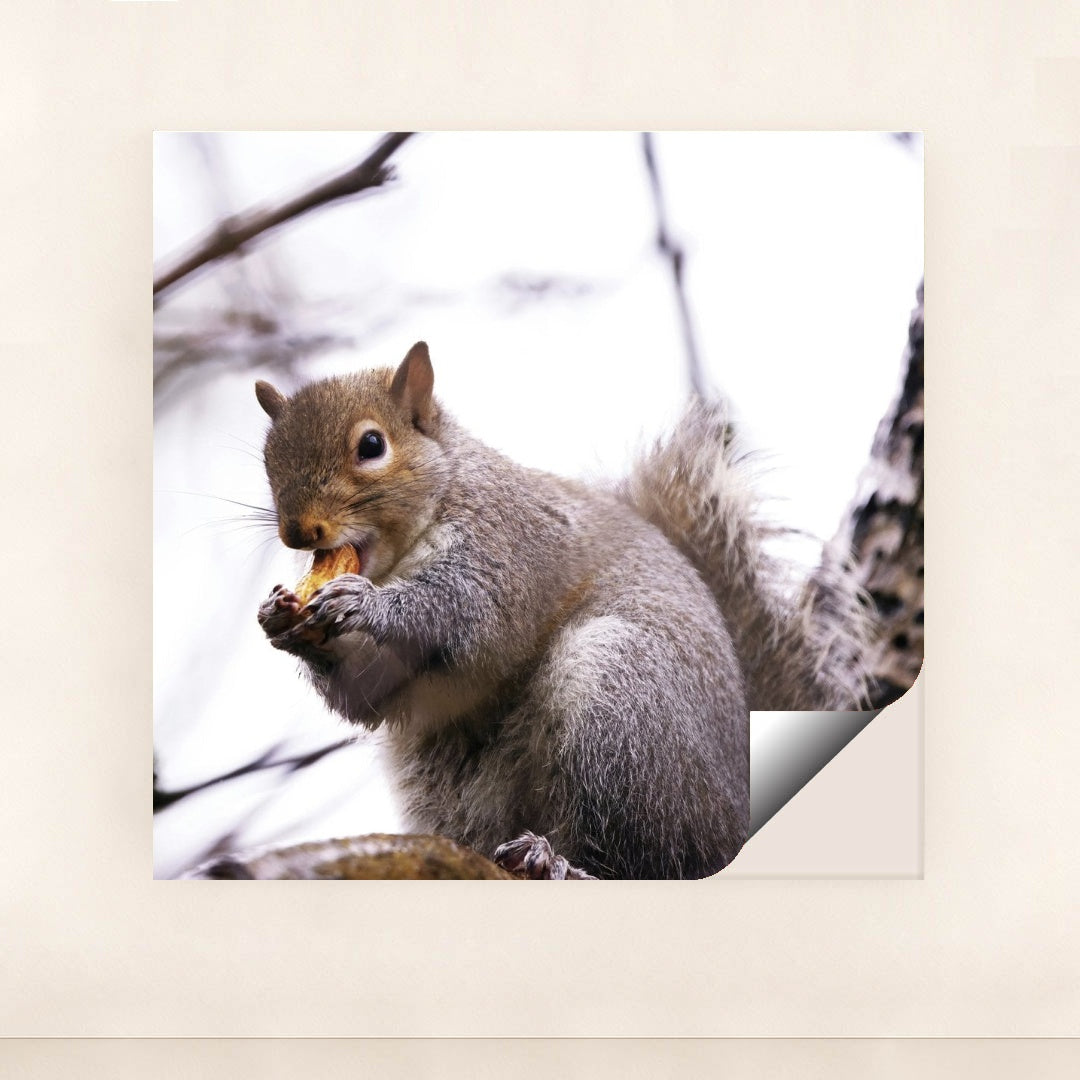 7090328469539 - Product Image