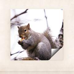 7090328469539 - Product Image