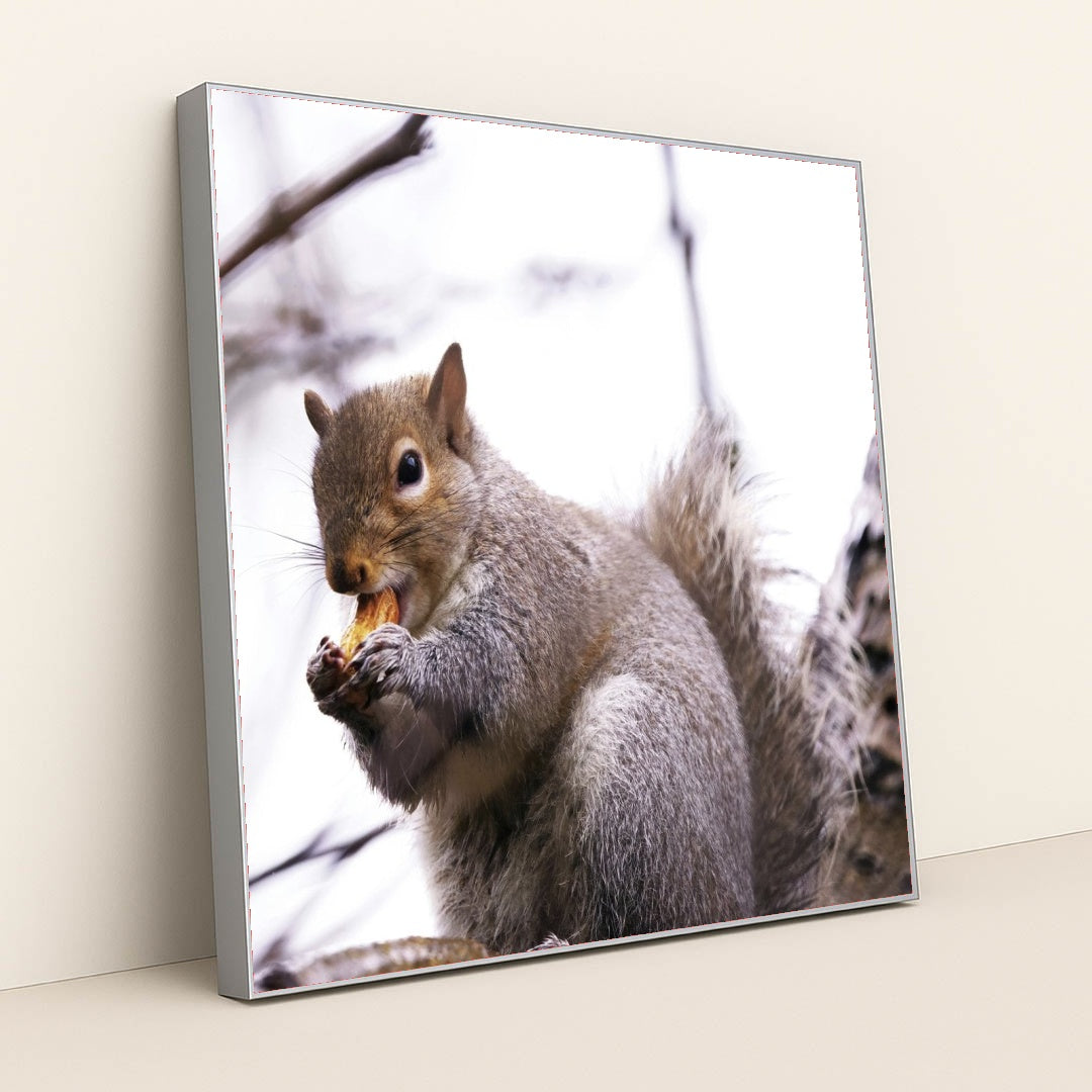 7090328469539 - Product Image