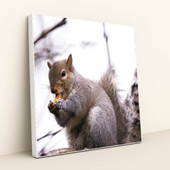 7090328469539 - Product Image