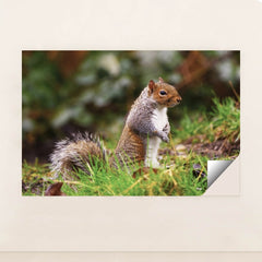 7090350719011 - Product Image