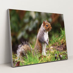 7090350719011 - Product Image