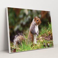 7090350719011 - Product Image