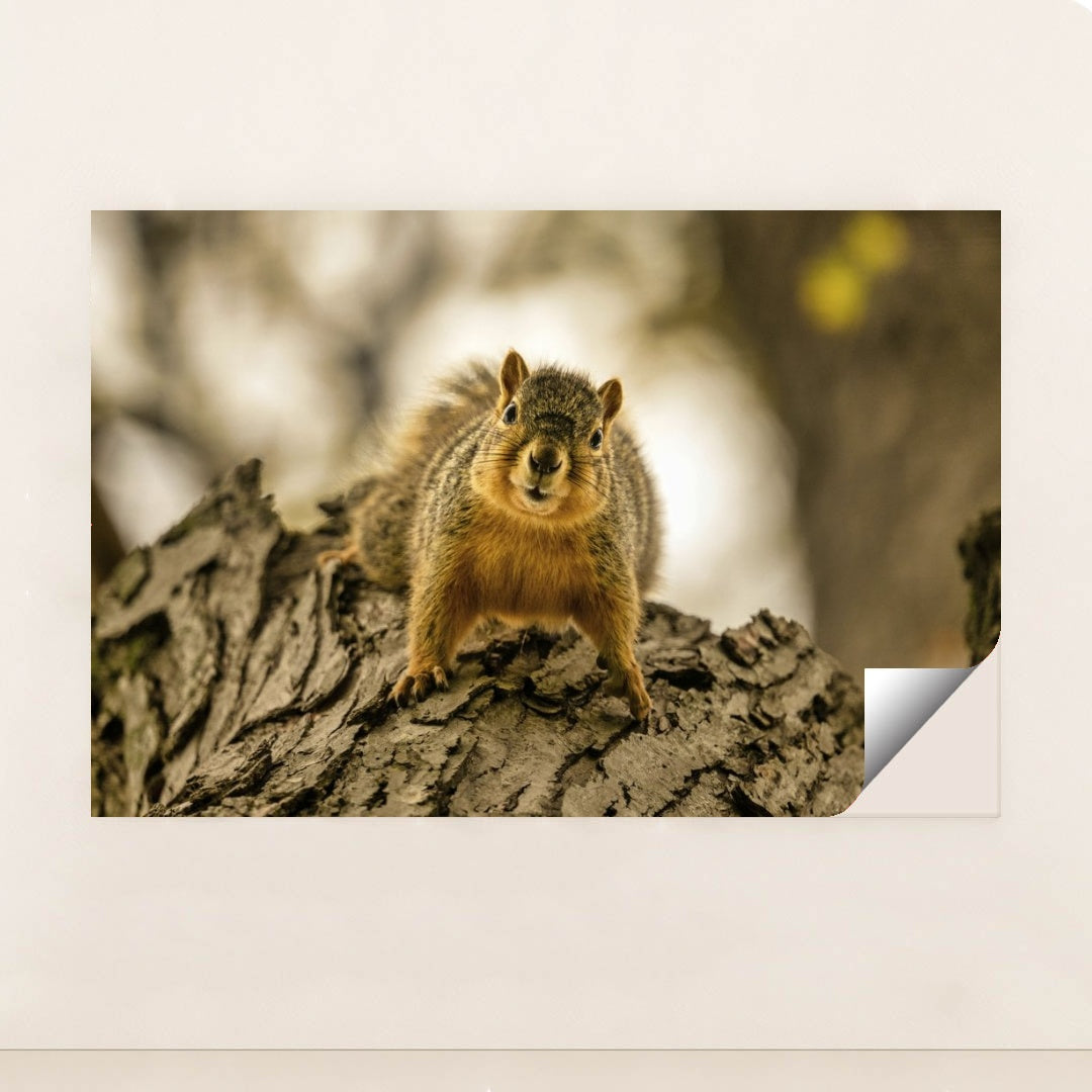 7090343706659 - Product Image