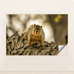 7090343706659 - Product Image