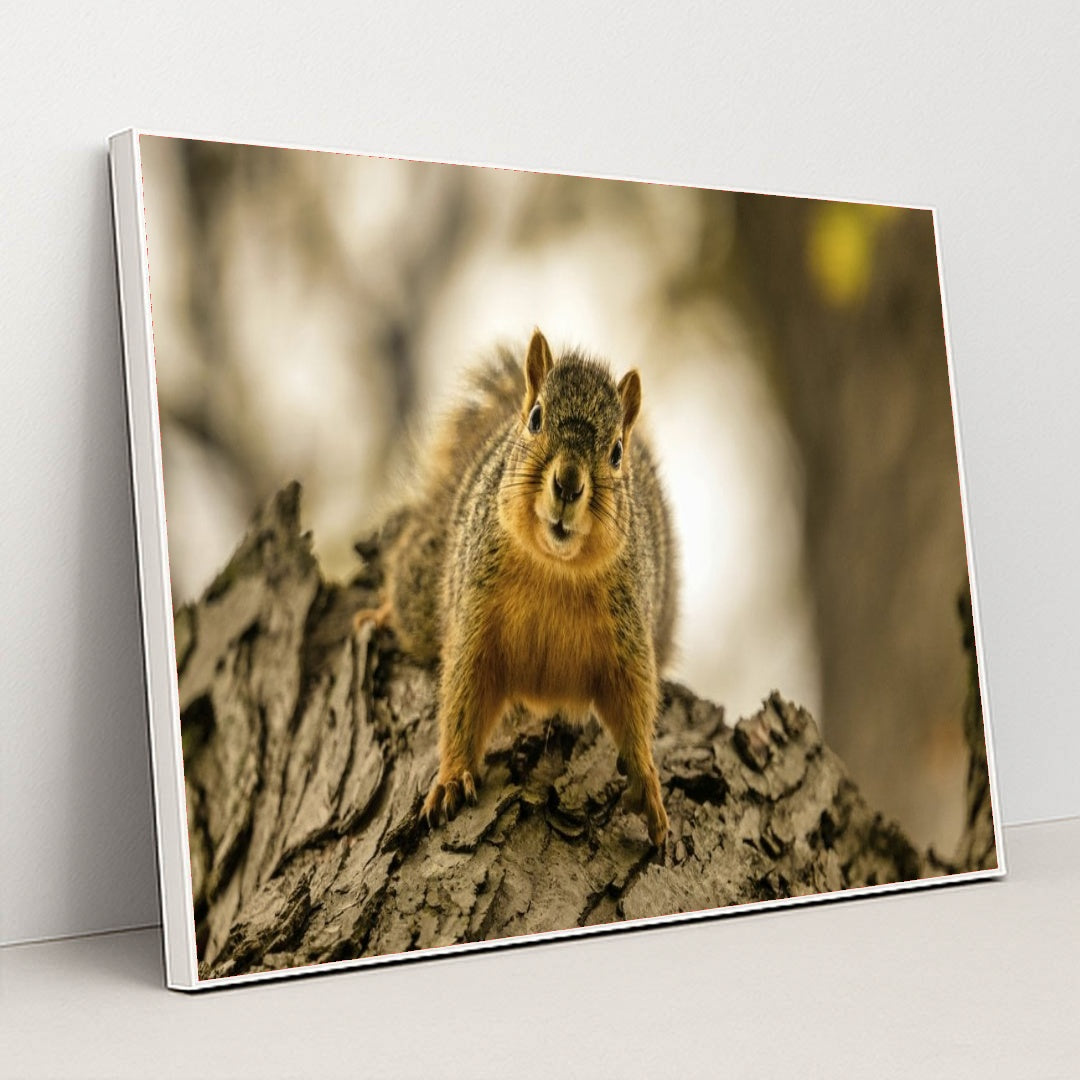 7090343706659 - Product Image