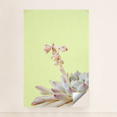 7090217713699 - Product Image