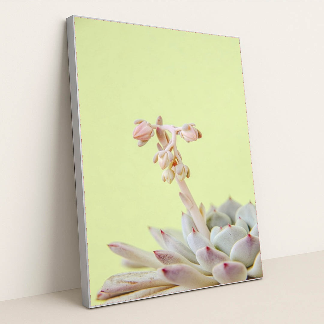 7090217713699 - Product Image