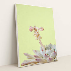 7090217713699 - Product Image