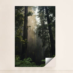 7090292850723 - Product Image