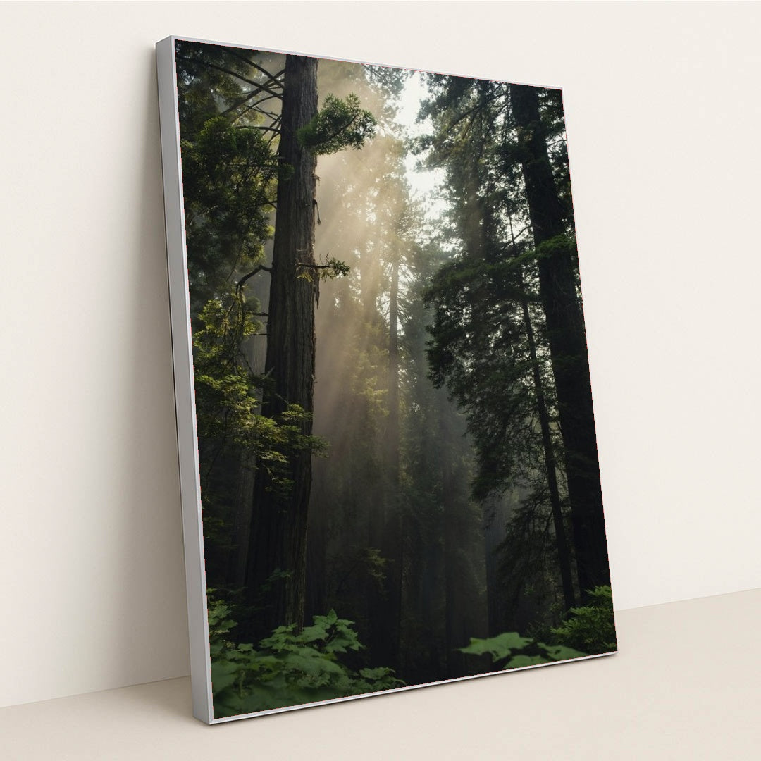 7090292850723 - Product Image