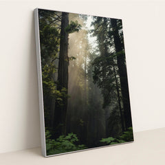 7090292850723 - Product Image