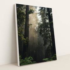 7090292850723 - Product Image