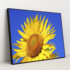 7090259492899 - Product Image