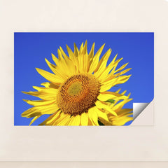 7090259492899 - Product Image