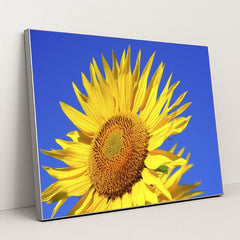 7090259492899 - Product Image