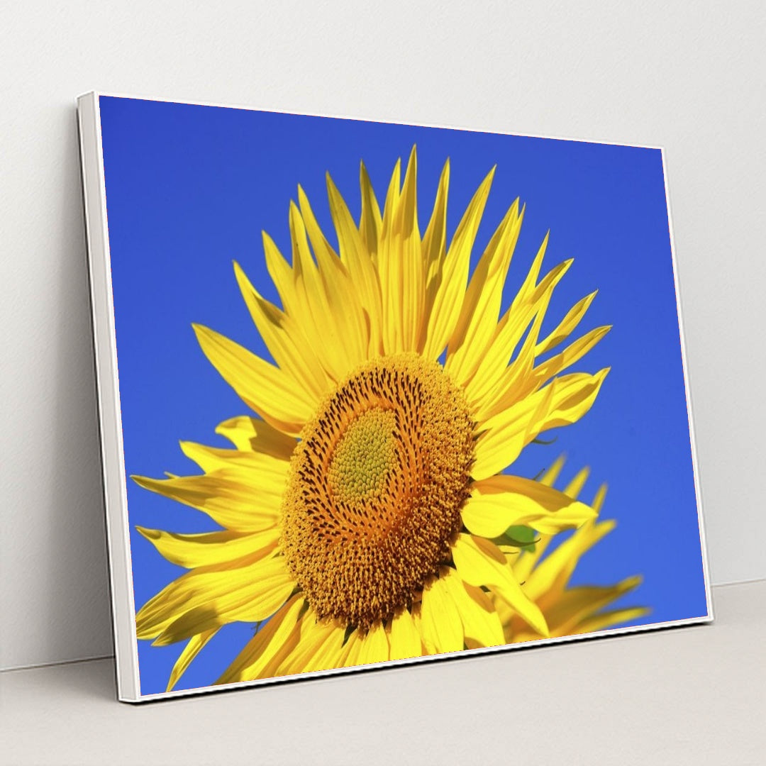 7090259492899 - Product Image