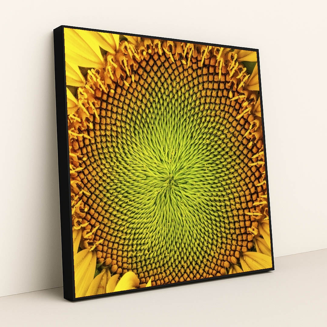 7090286231587 - Product Image