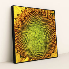 7090286231587 - Product Image