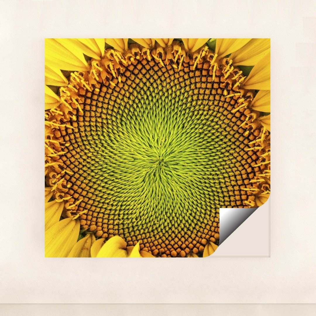 7090286231587 - Product Image