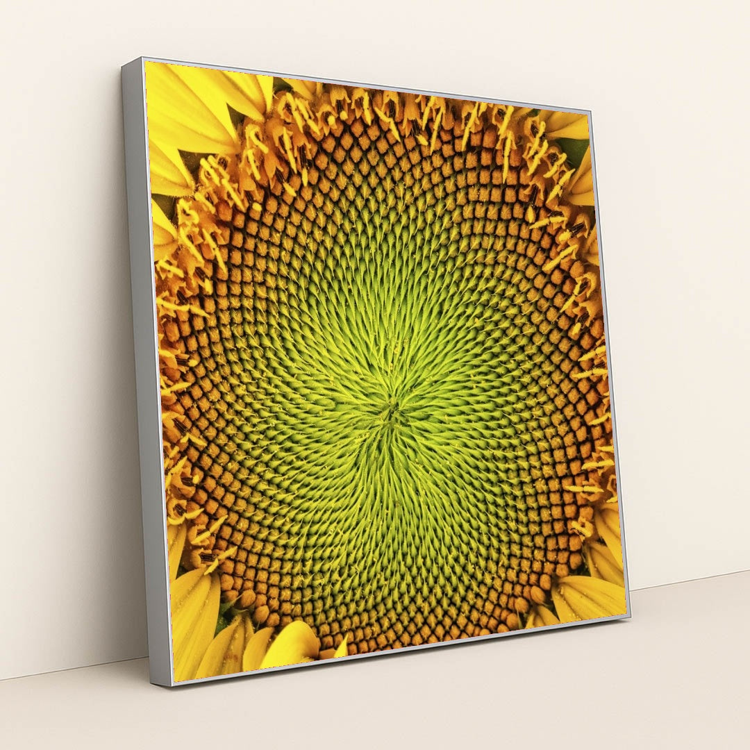 7090286231587 - Product Image