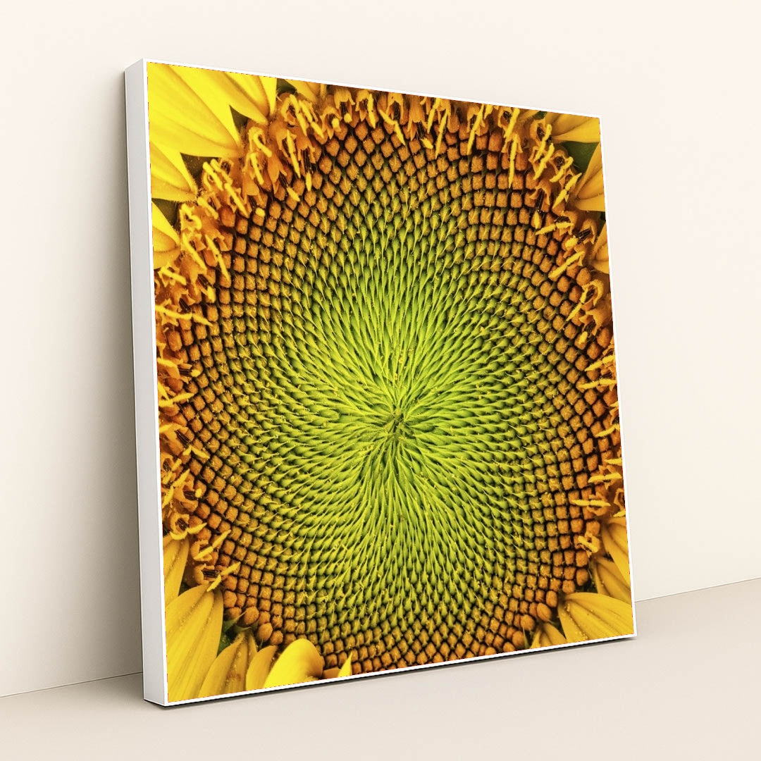 7090286231587 - Product Image