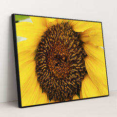 7090287476771 - Product Image