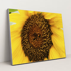 7090287476771 - Product Image