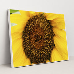 7090287476771 - Product Image