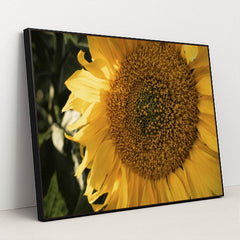 7090297700387 - Product Image