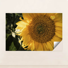 7090297700387 - Product Image