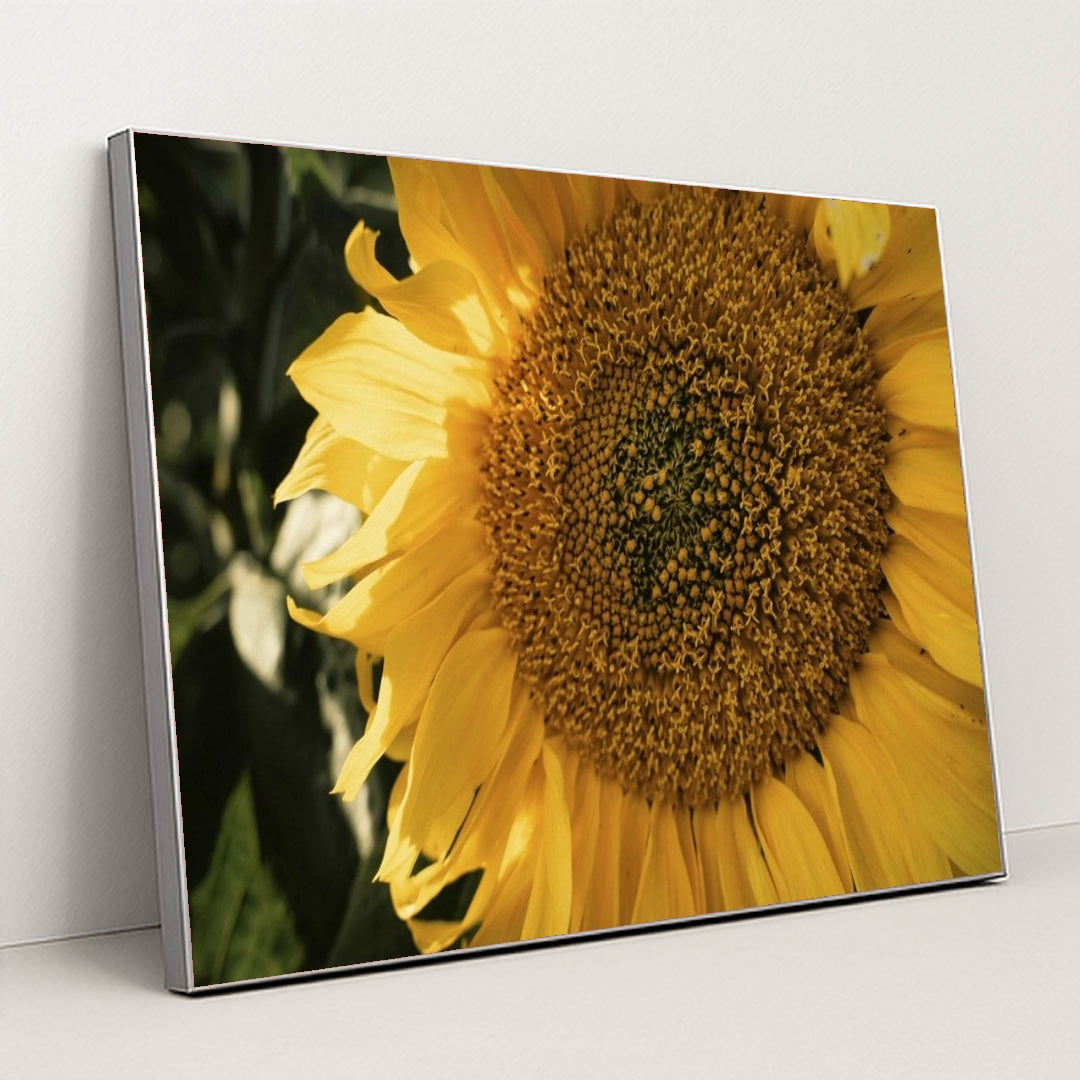 7090297700387 - Product Image