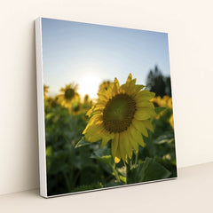 7090254676003 - Product Image