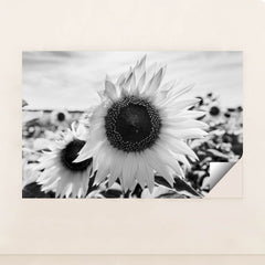 7090217812003 - Product Image