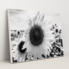 7090217812003 - Product Image