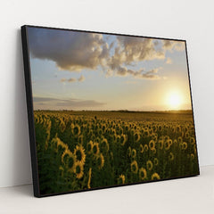 7090290163747 - Product Image